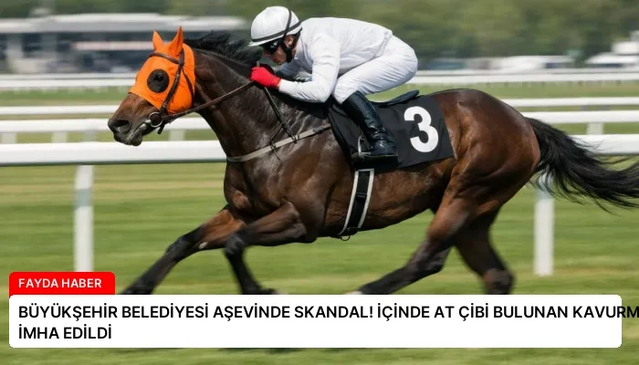 BÜYÜKŞEHİR BELEDİYESİ AŞEVİNDE SKANDAL! İÇİNDE AT ÇİBİ BULUNAN KAVURMA İMHA EDİLDİ