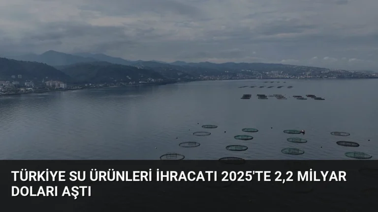 Türkiye Su Ürünleri İhracatı 2025’te 2,2 Milyar Doları Aştı