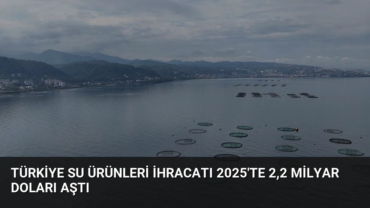 Türkiye Su Ürünleri İhracatı 2025’te 2,2 Milyar Doları Aştı
