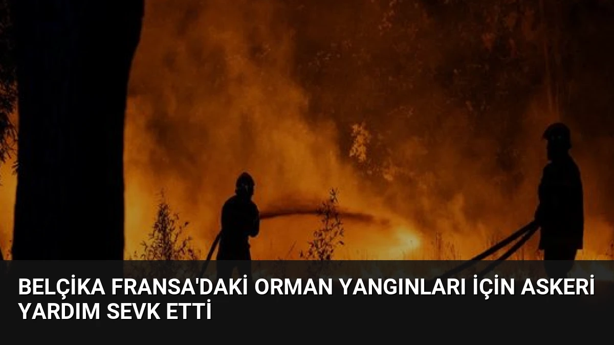 Belçika Fransa’daki Orman Yangınları İçin Askeri Yardım Sevk Etti