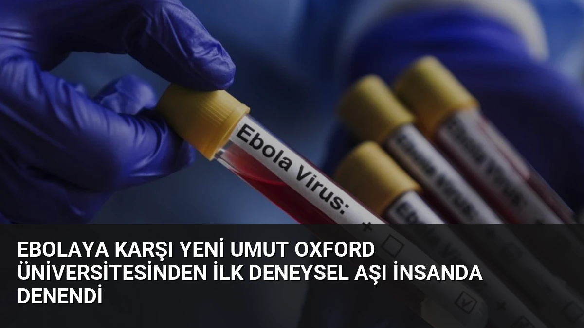 Ebolaya Karşı Yeni Umut Oxford Üniversitesinden İlk Deneysel Aşı İnsanda Denendi