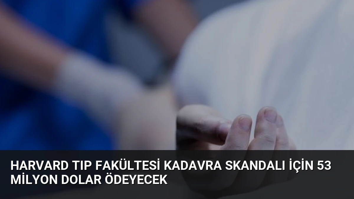 Harvard Tıp Fakültesi Kadavra Skandalı İçin 53 Milyon Dolar Ödeyecek