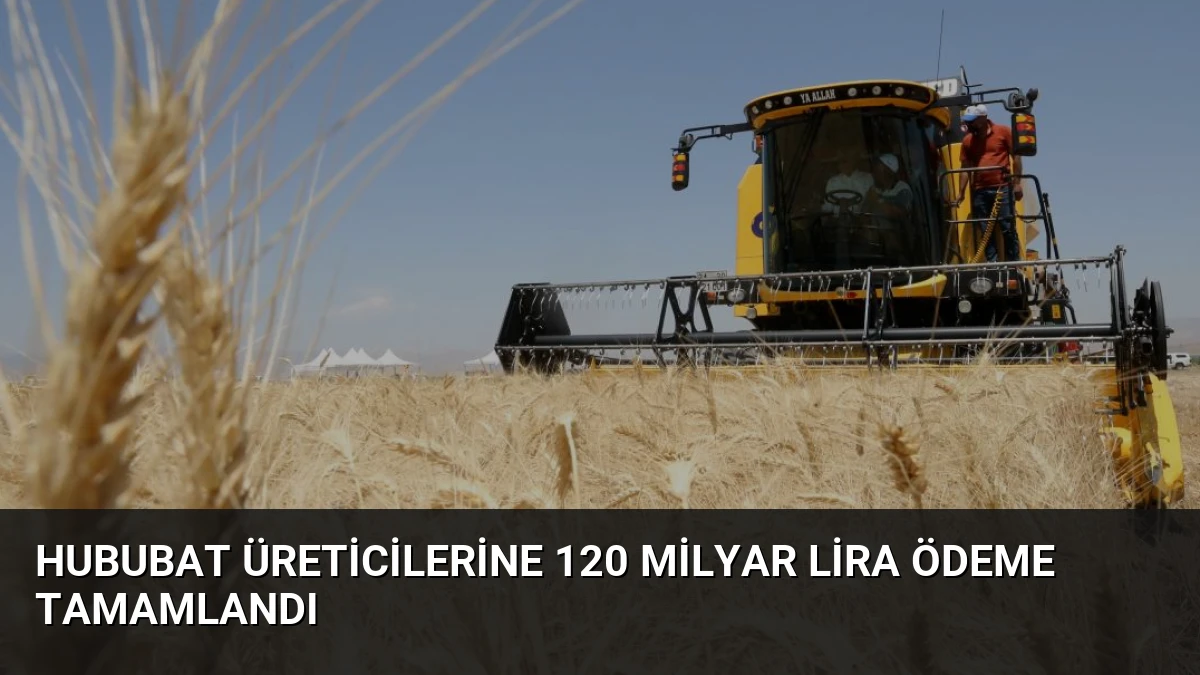Hububat Üreticilerine 120 Milyar Lira Ödeme Tamamlandı