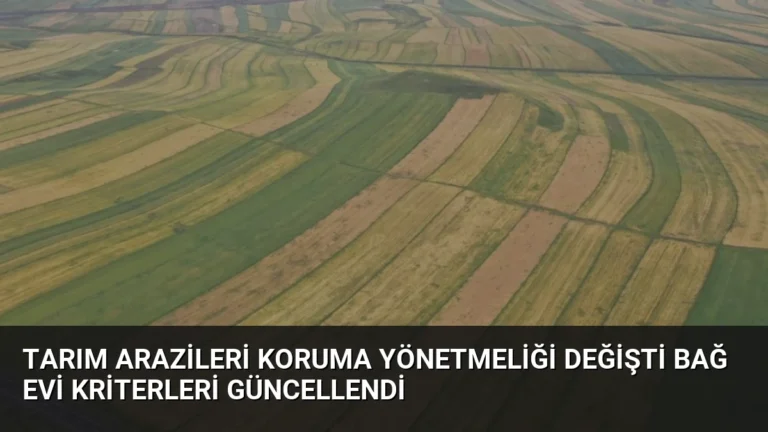 Tarım Arazileri Koruma Yönetmeliği Değişti Bağ Evi Kriterleri Güncellendi