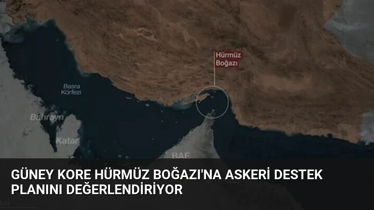 Güney Kore Hürmüz Boğazı’na Askeri Destek Planını Değerlendiriyor