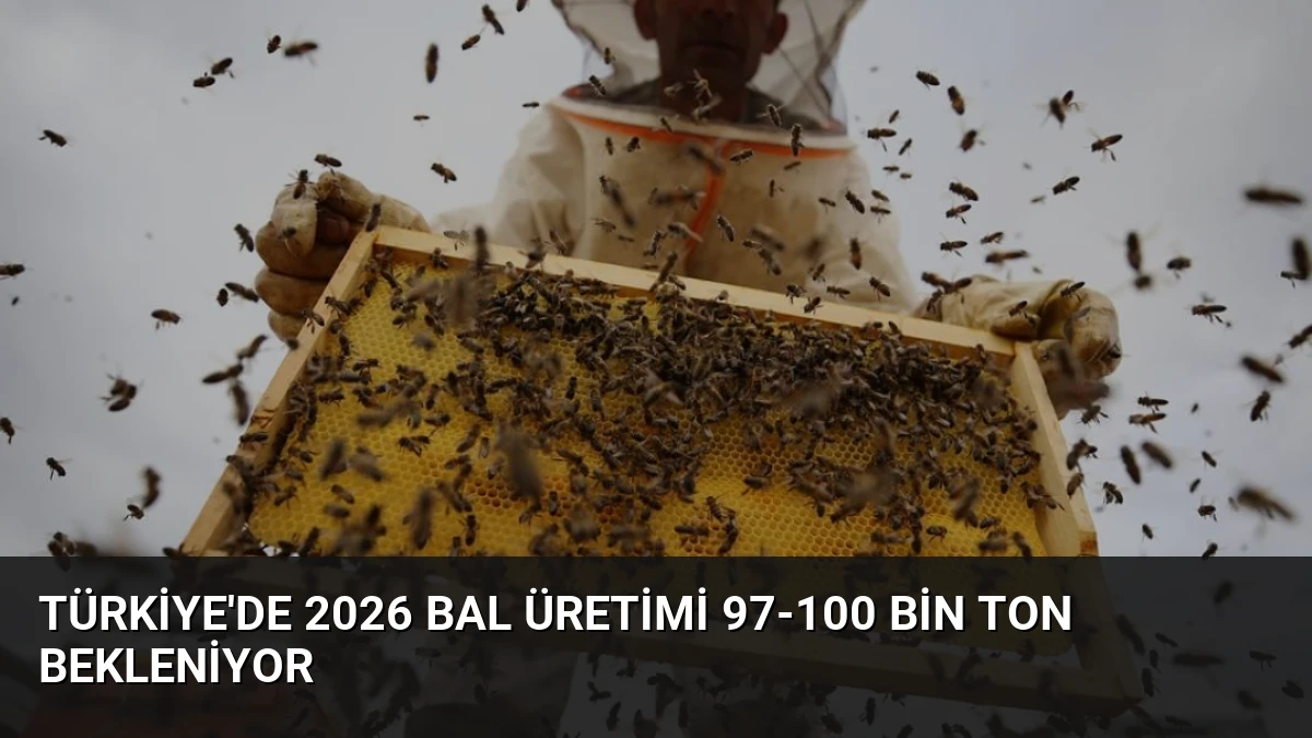 Türkiye’de 2026 Bal Üretimi 97-100 Bin Ton Bekleniyor
