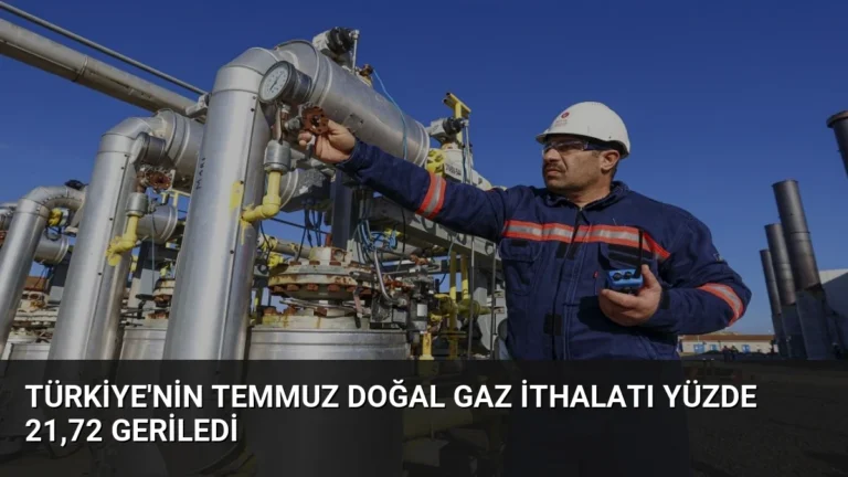 Türkiye’nin Temmuz Doğal Gaz İthalatı Yüzde 21,72 Geriledi