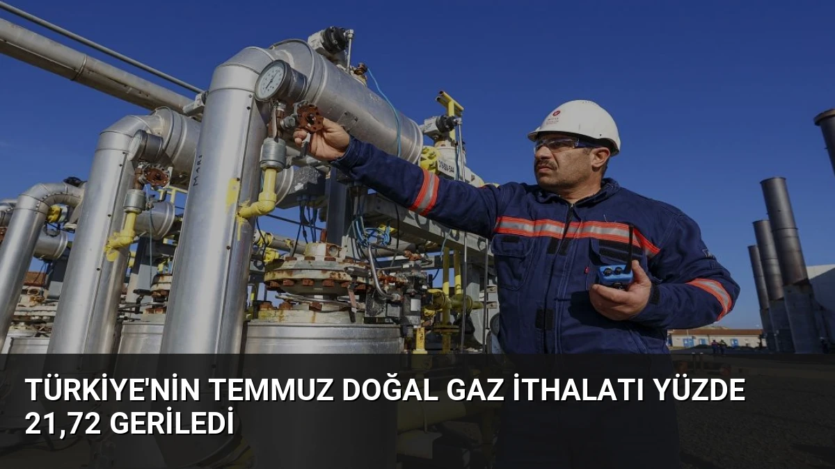 Türkiye’nin Temmuz Doğal Gaz İthalatı Yüzde 21,72 Geriledi