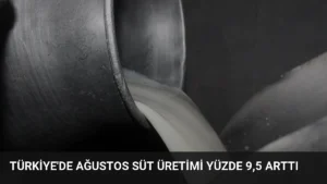 Türkiye’de Ağustos Süt Üretimi Yüzde 9,5 Arttı