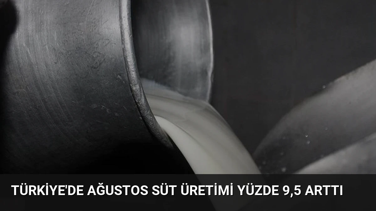 Türkiye’de Ağustos Süt Üretimi Yüzde 9,5 Arttı
