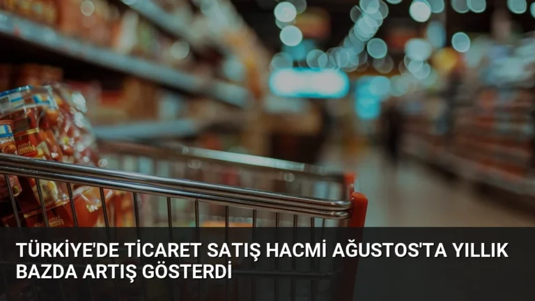 Türkiye’de Ticaret Satış Hacmi Ağustos’ta Yıllık Bazda Artış Gösterdi